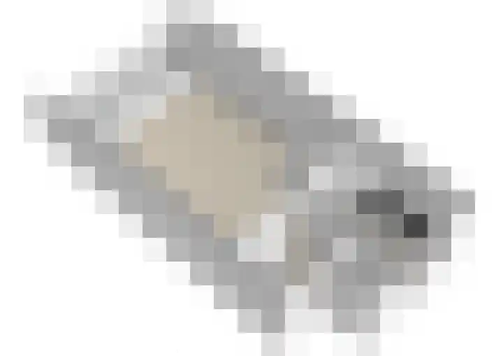 Kanariesprenk 37 Vlissingen thumbnail 32