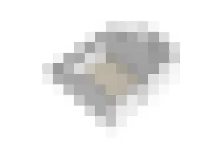 Kanariesprenk 37 Vlissingen thumbnail 33