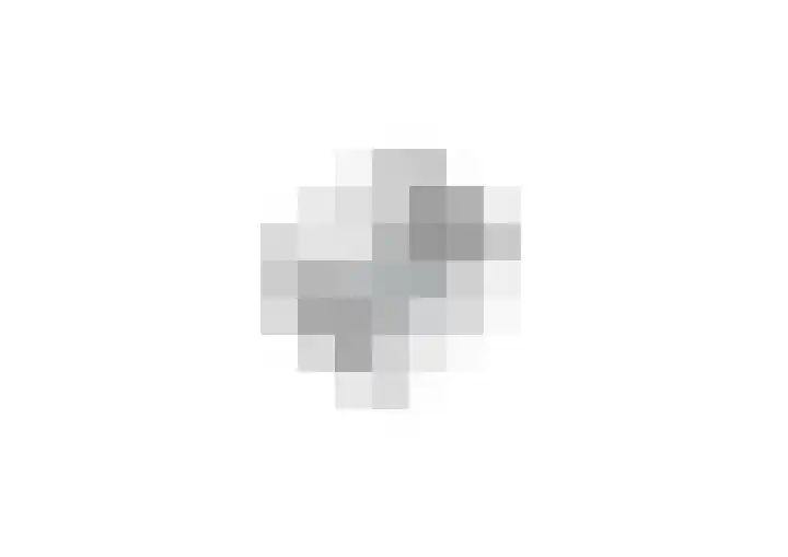Kanariesprenk 37 Vlissingen thumbnail 34
