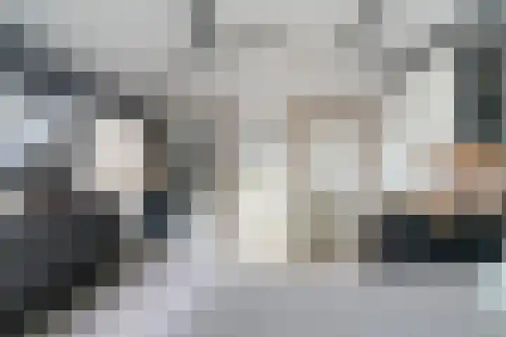 Kanariesprenk 37 Vlissingen thumbnail 4
