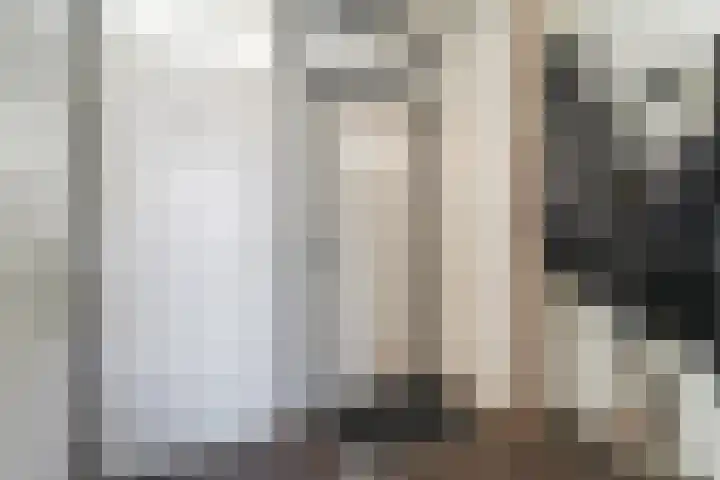 Kanariesprenk 37 Vlissingen thumbnail 5