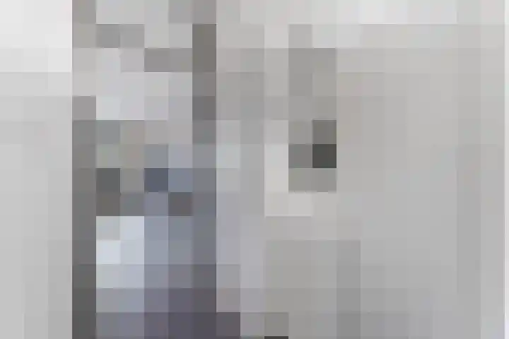 Kanariesprenk 37 Vlissingen thumbnail 6