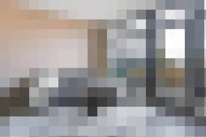 Kanariesprenk 37 Vlissingen thumbnail 8