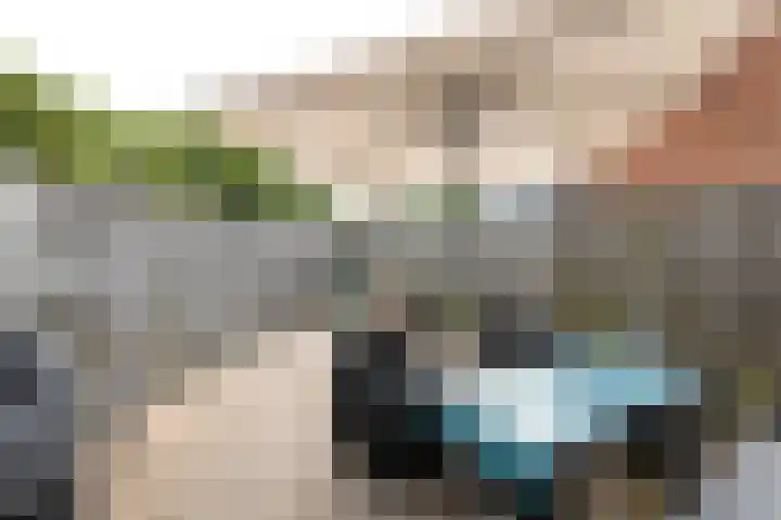 Kanariesprenk 377 Vlissingen thumbnail 14