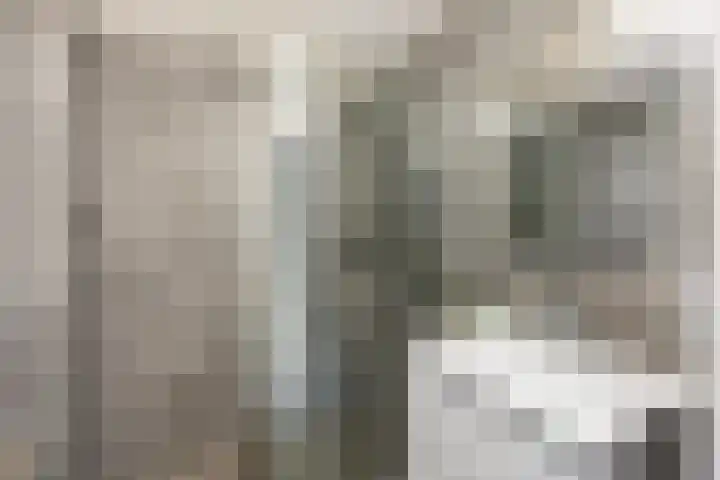 Kanariesprenk 377 Vlissingen thumbnail 17