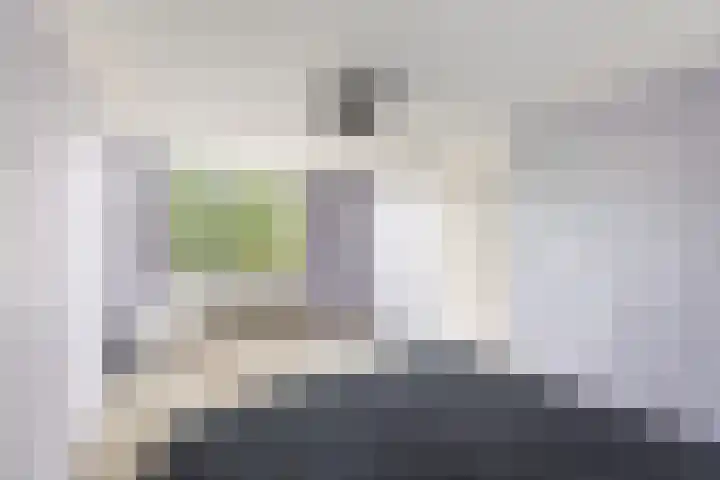 Kanariesprenk 377 Vlissingen thumbnail 19