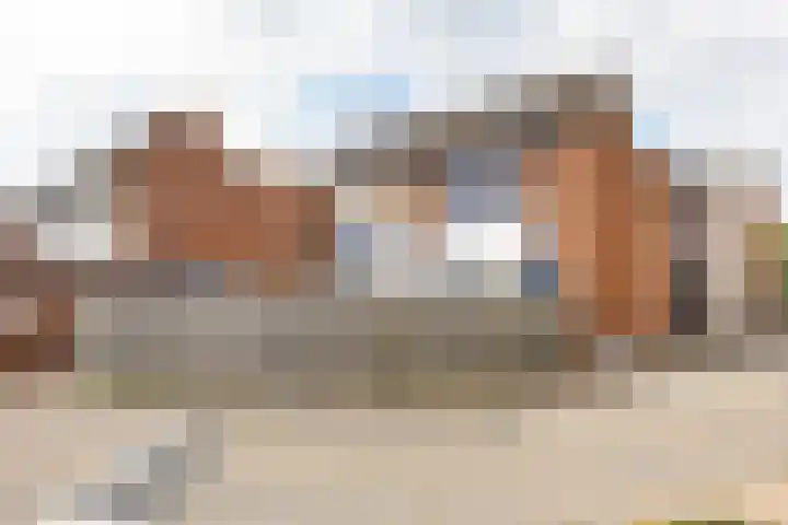 Kanariesprenk 377 Vlissingen thumbnail 5