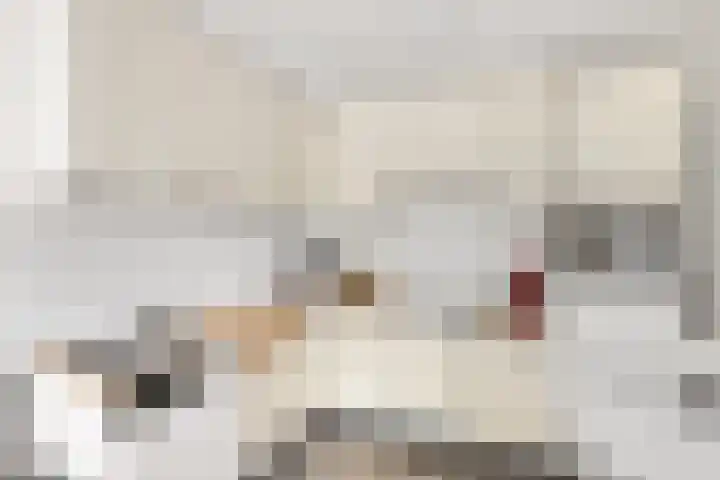 Kanariesprenk 377 Vlissingen thumbnail 8