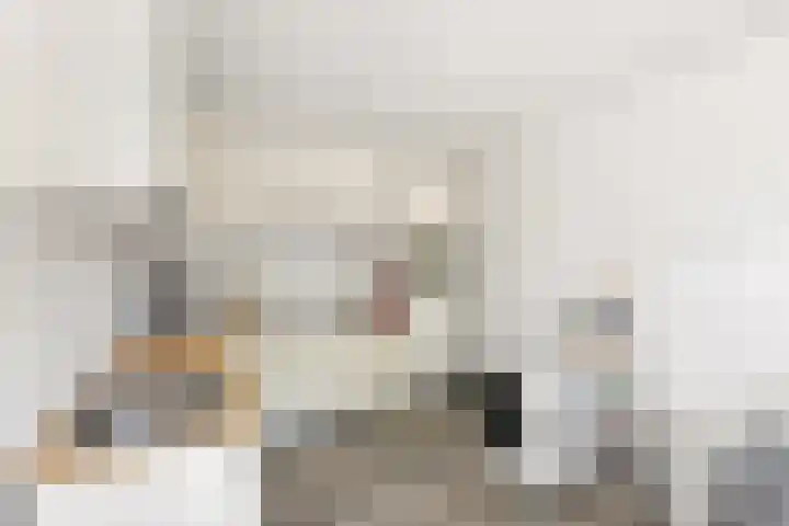 Kanariesprenk 377 Vlissingen thumbnail 9
