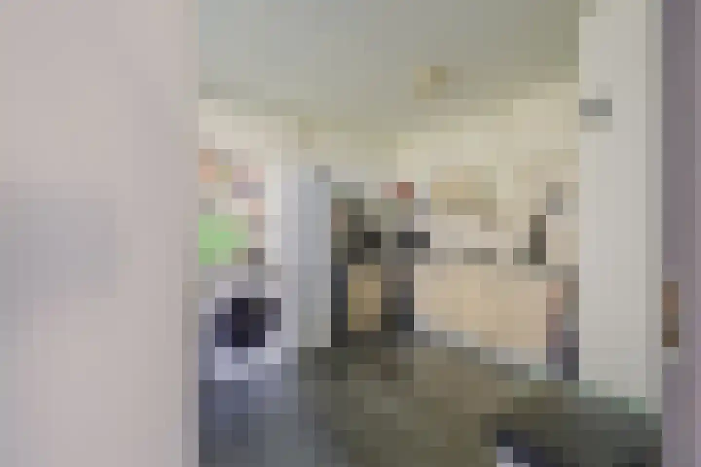 Kanariesprenk 379 Vlissingen thumbnail 12