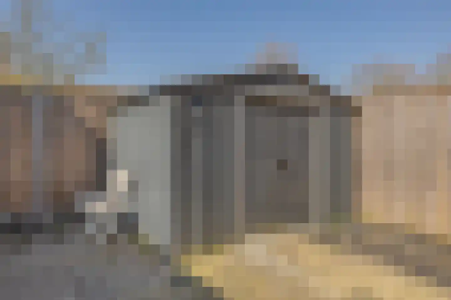 Kanariesprenk 379 Vlissingen thumbnail 17