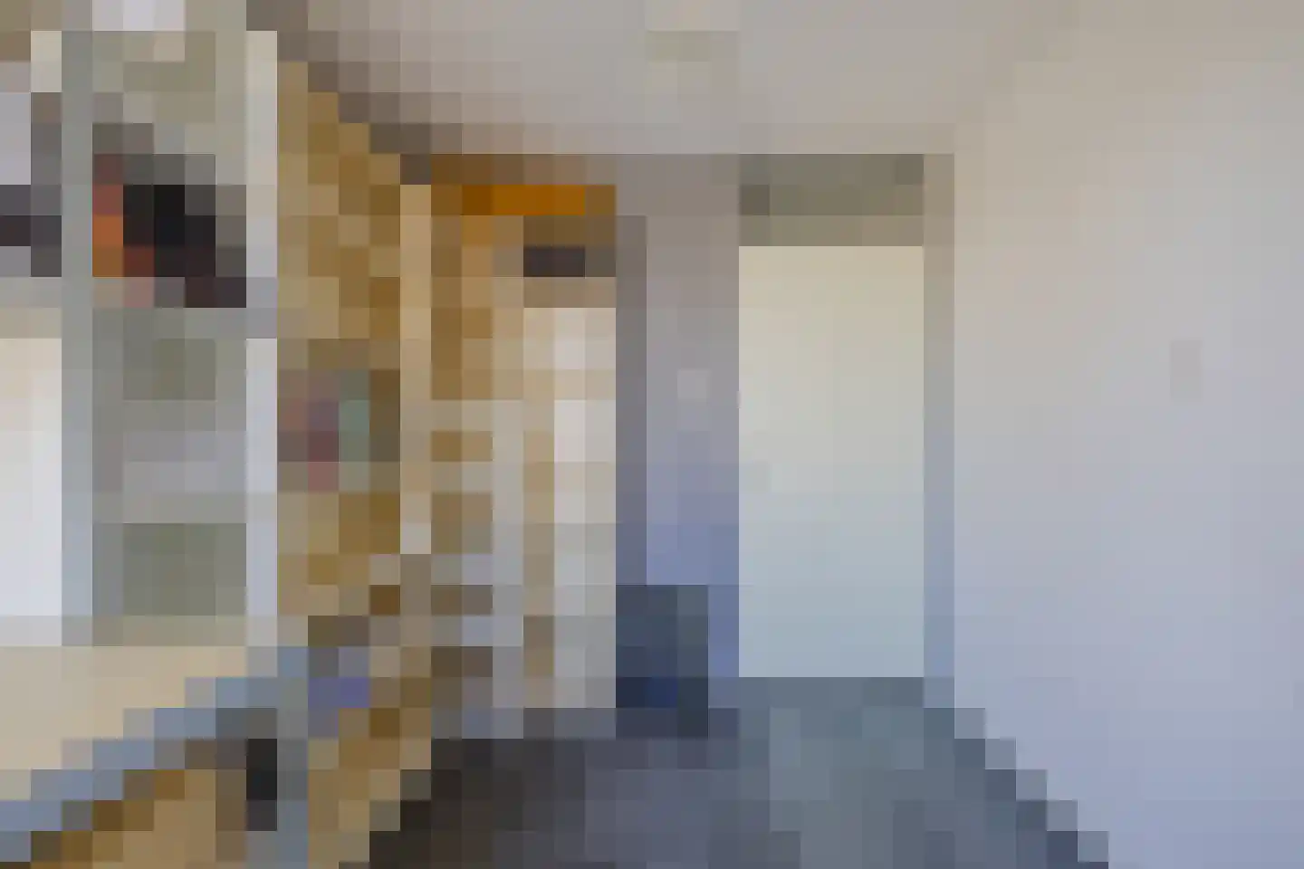Kanariesprenk 379 Vlissingen thumbnail 26