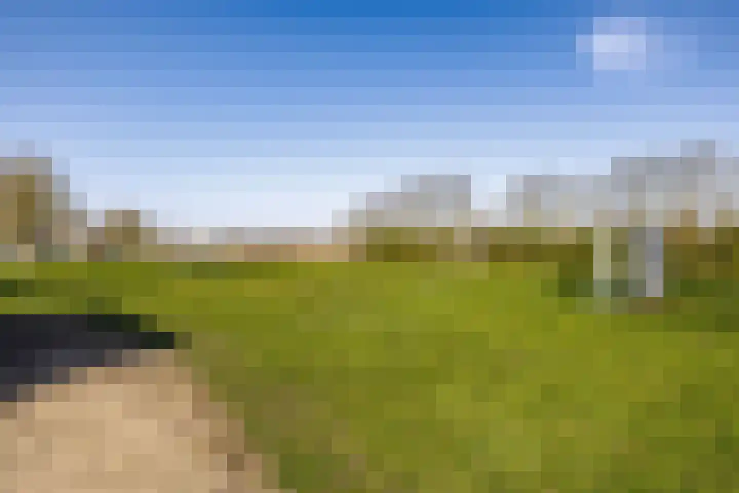 Kanariesprenk 379 Vlissingen thumbnail 32