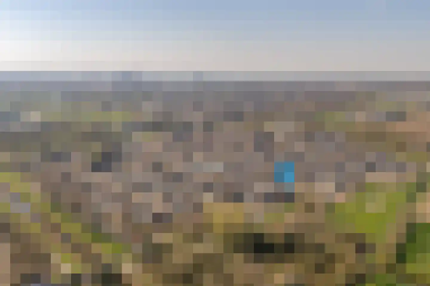 Kanariesprenk 379 Vlissingen thumbnail 4