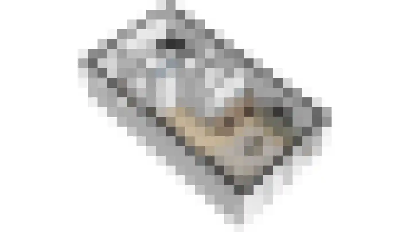 Kanariesprenk 379 Vlissingen thumbnail 5
