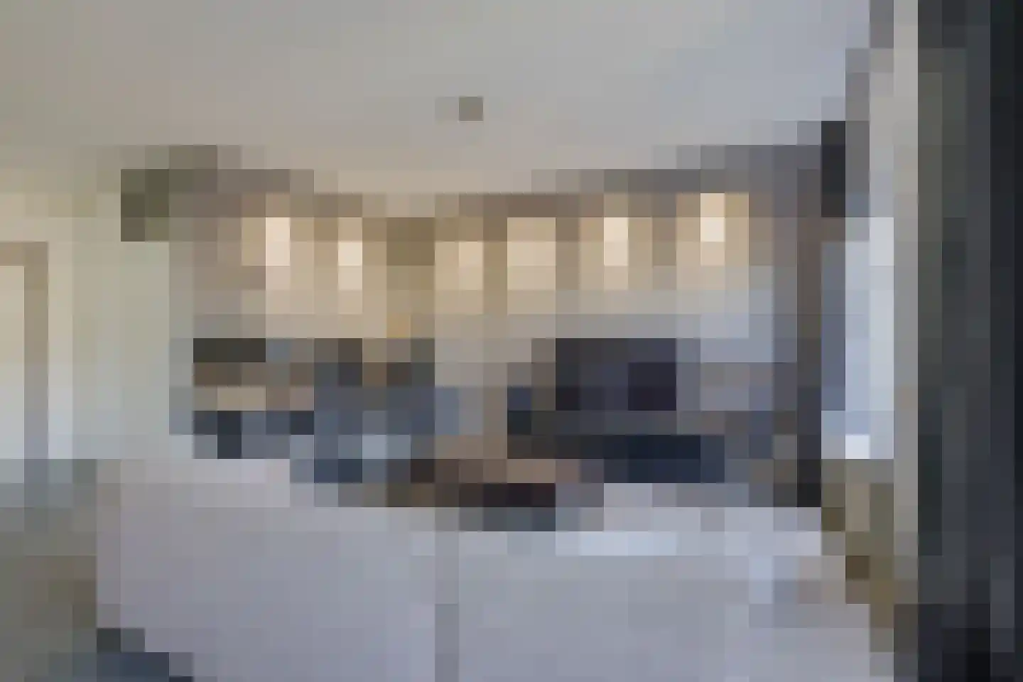 Kanariesprenk 379 Vlissingen thumbnail 8