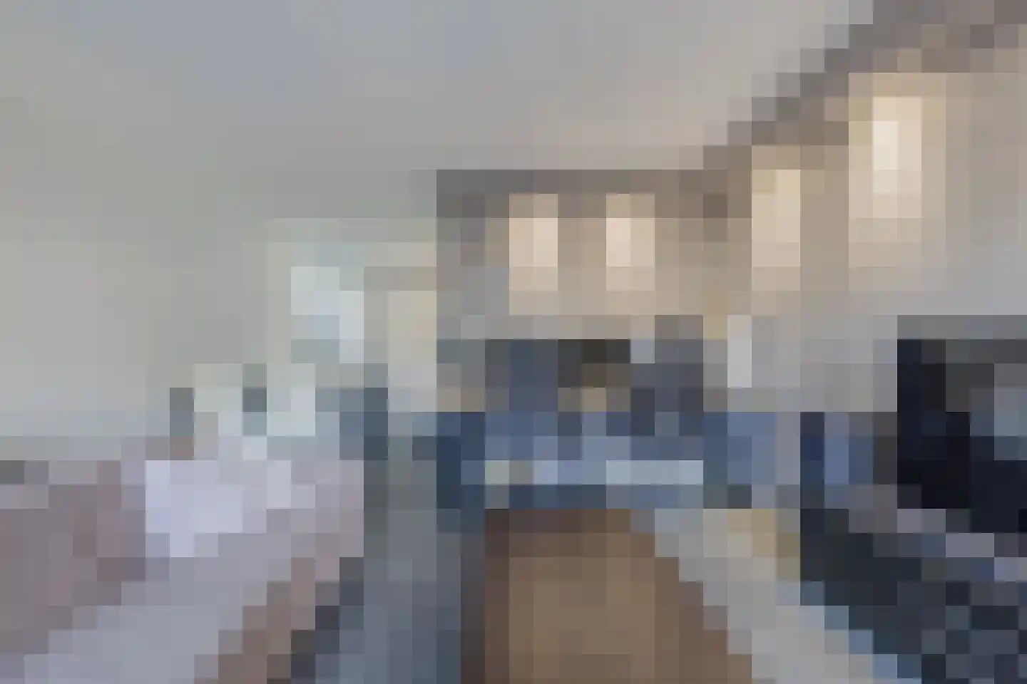Kanariesprenk 379 Vlissingen thumbnail 9