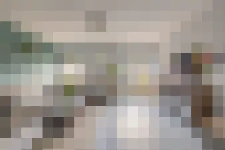 Kanariesprenk 413 Vlissingen thumbnail 10