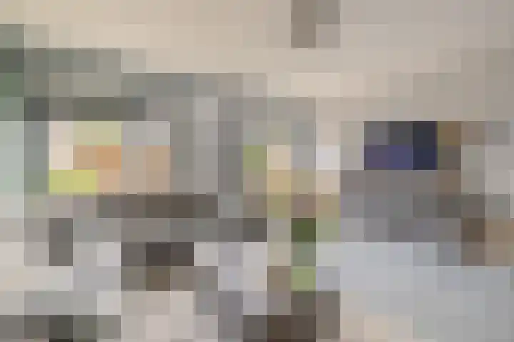 Kanariesprenk 413 Vlissingen thumbnail 12