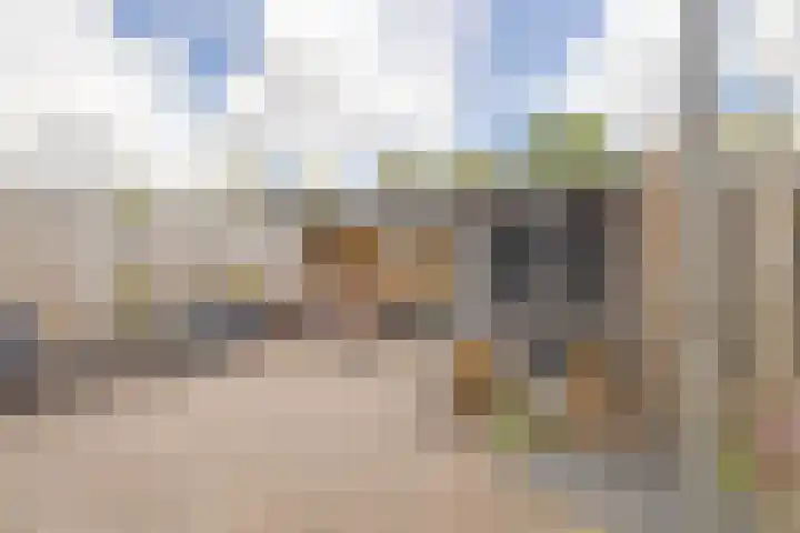 Kanariesprenk 413 Vlissingen thumbnail 21
