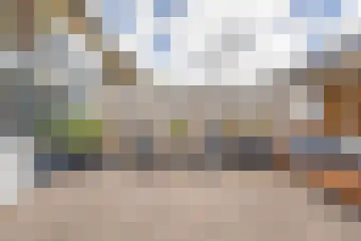 Kanariesprenk 413 Vlissingen thumbnail 22