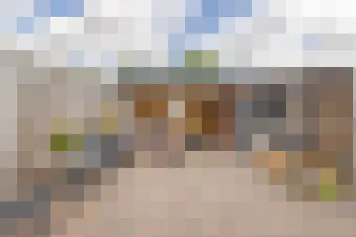 Kanariesprenk 413 Vlissingen thumbnail 23