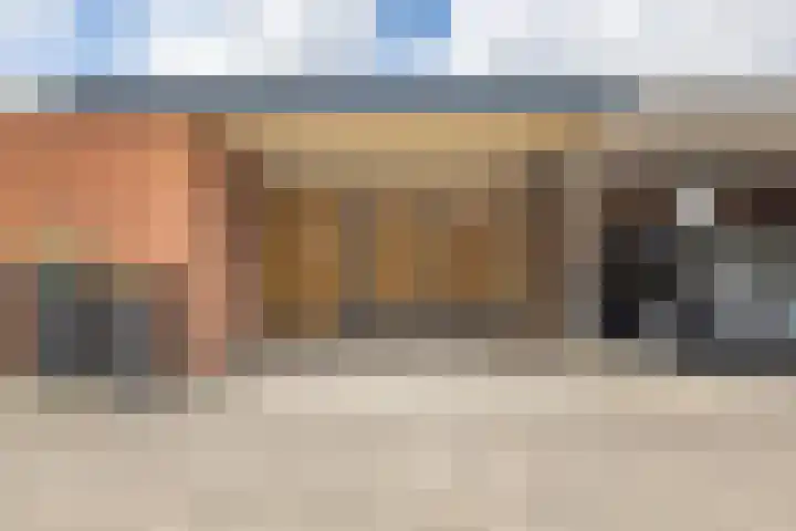 Kanariesprenk 413 Vlissingen thumbnail 25