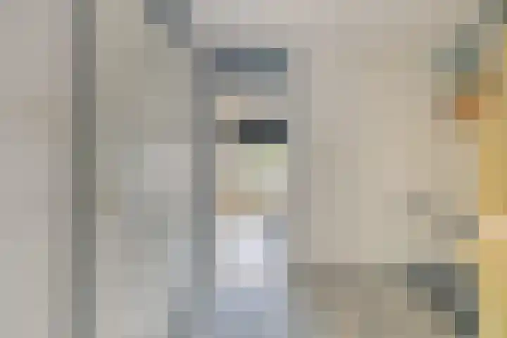 Kanariesprenk 413 Vlissingen thumbnail 28
