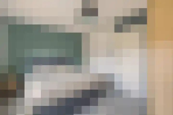 Kanariesprenk 413 Vlissingen thumbnail 30