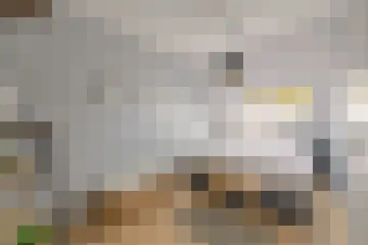 Kanariesprenk 413 Vlissingen thumbnail 33