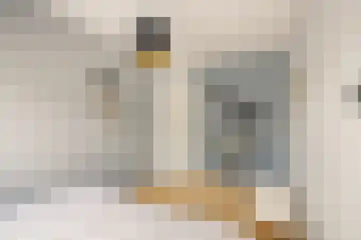 Kanariesprenk 413 Vlissingen thumbnail 34