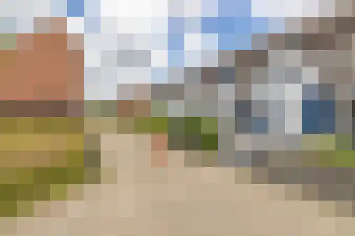Kanariesprenk 413 Vlissingen thumbnail 4