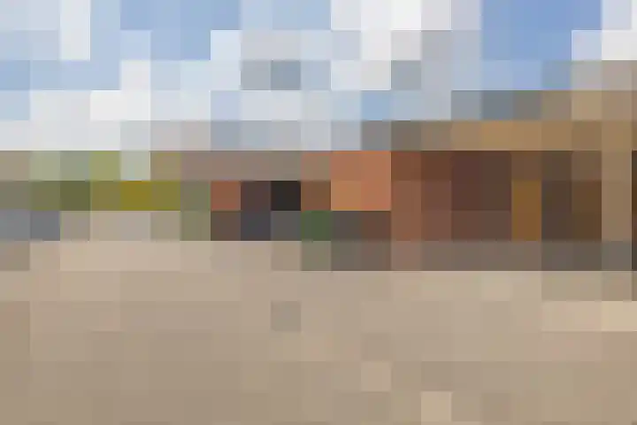 Kanariesprenk 413 Vlissingen thumbnail 40