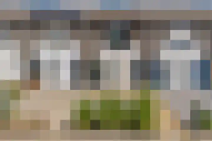 Kanariesprenk 413 Vlissingen thumbnail 44