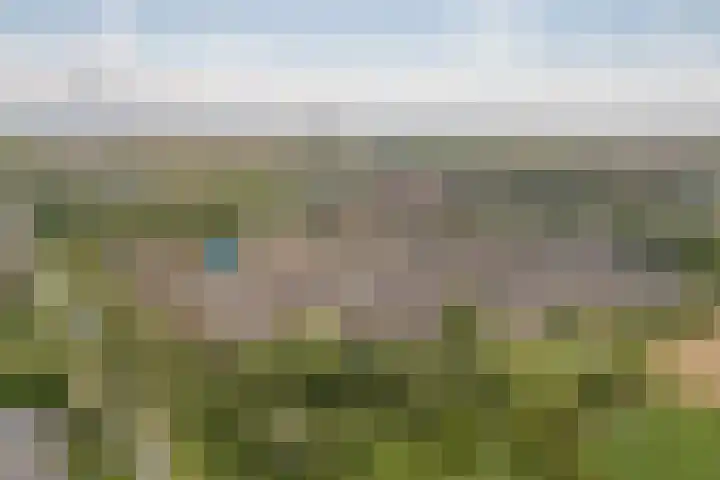 Kanariesprenk 413 Vlissingen thumbnail 5