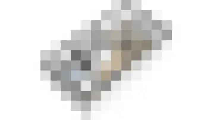 Kanariesprenk 413 Vlissingen thumbnail 6