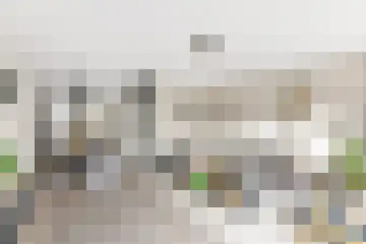 Kanariesprenk 417 Vlissingen thumbnail 10