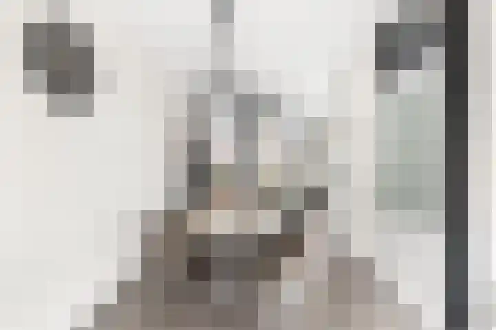 Kanariesprenk 417 Vlissingen thumbnail 12