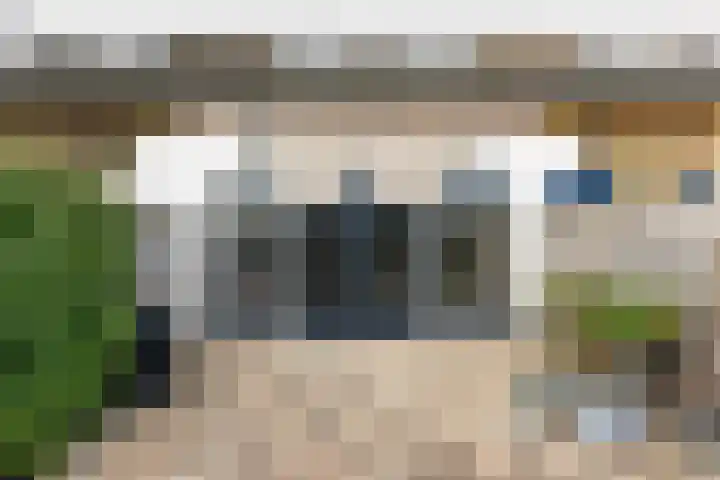 Kanariesprenk 417 Vlissingen thumbnail 16