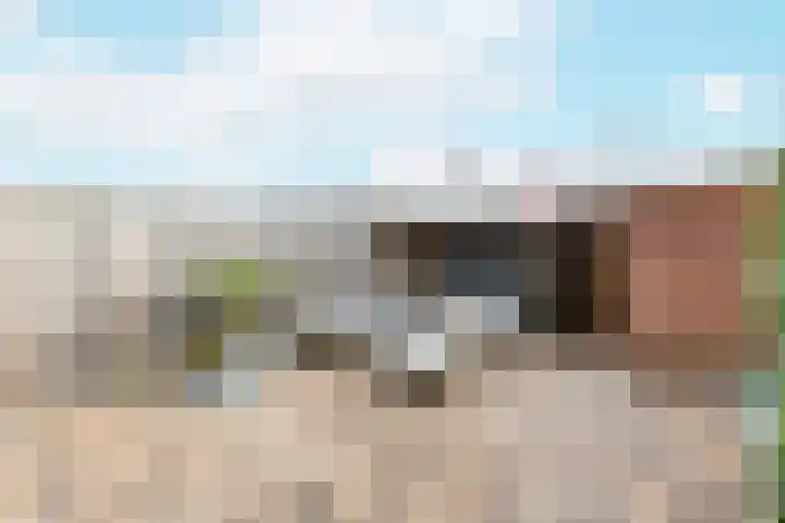 Kanariesprenk 417 Vlissingen thumbnail 17