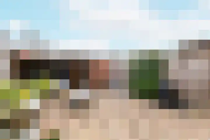 Kanariesprenk 417 Vlissingen thumbnail 18