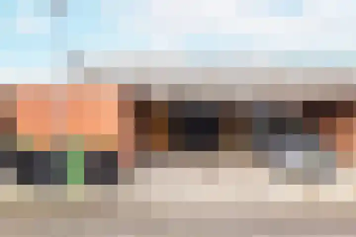 Kanariesprenk 417 Vlissingen thumbnail 19