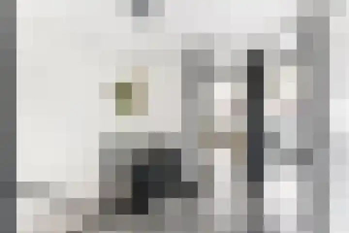 Kanariesprenk 417 Vlissingen thumbnail 22