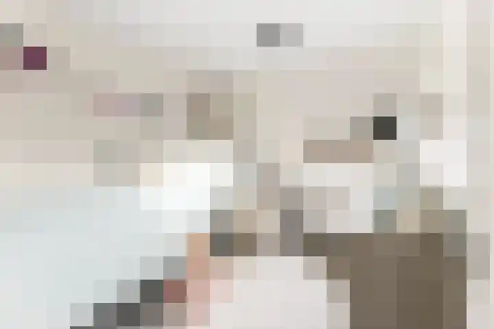 Kanariesprenk 417 Vlissingen thumbnail 26