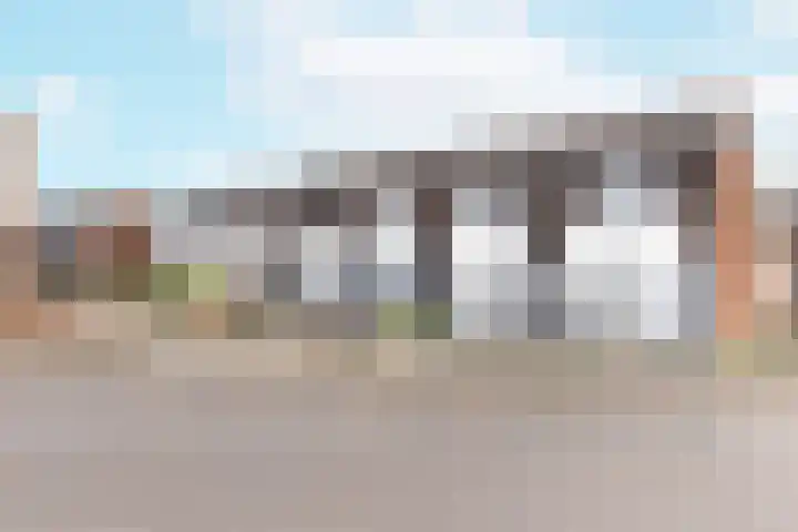 Kanariesprenk 417 Vlissingen thumbnail 30