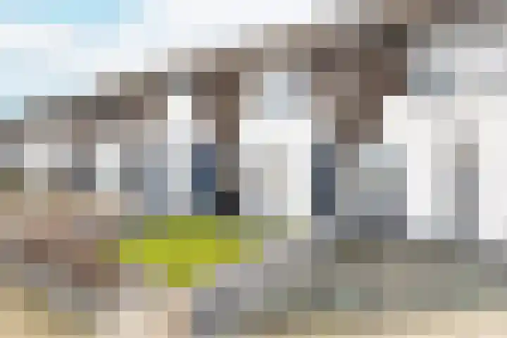 Kanariesprenk 417 Vlissingen thumbnail 6