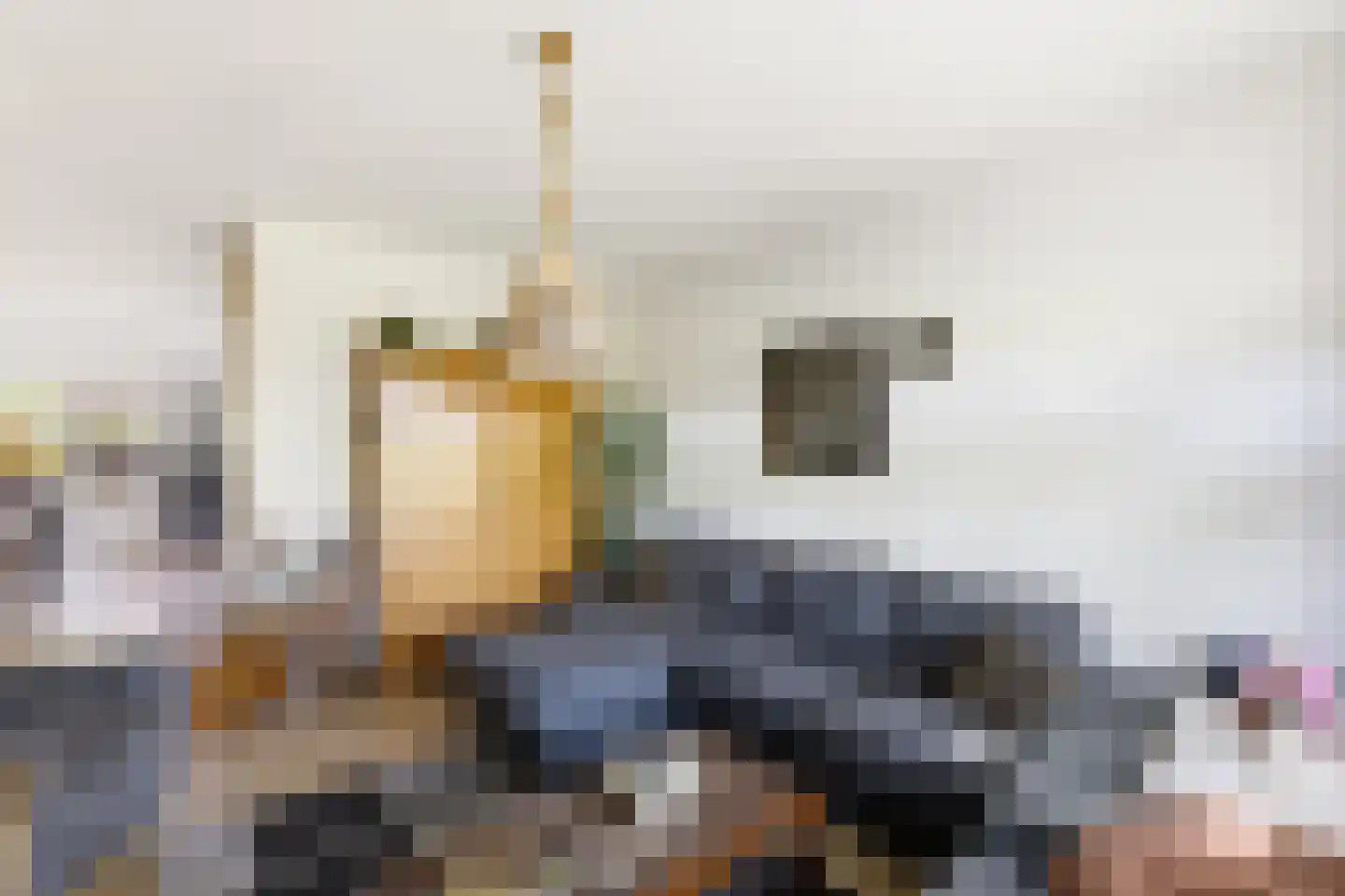 Kanariesprenk 431 Vlissingen thumbnail 11