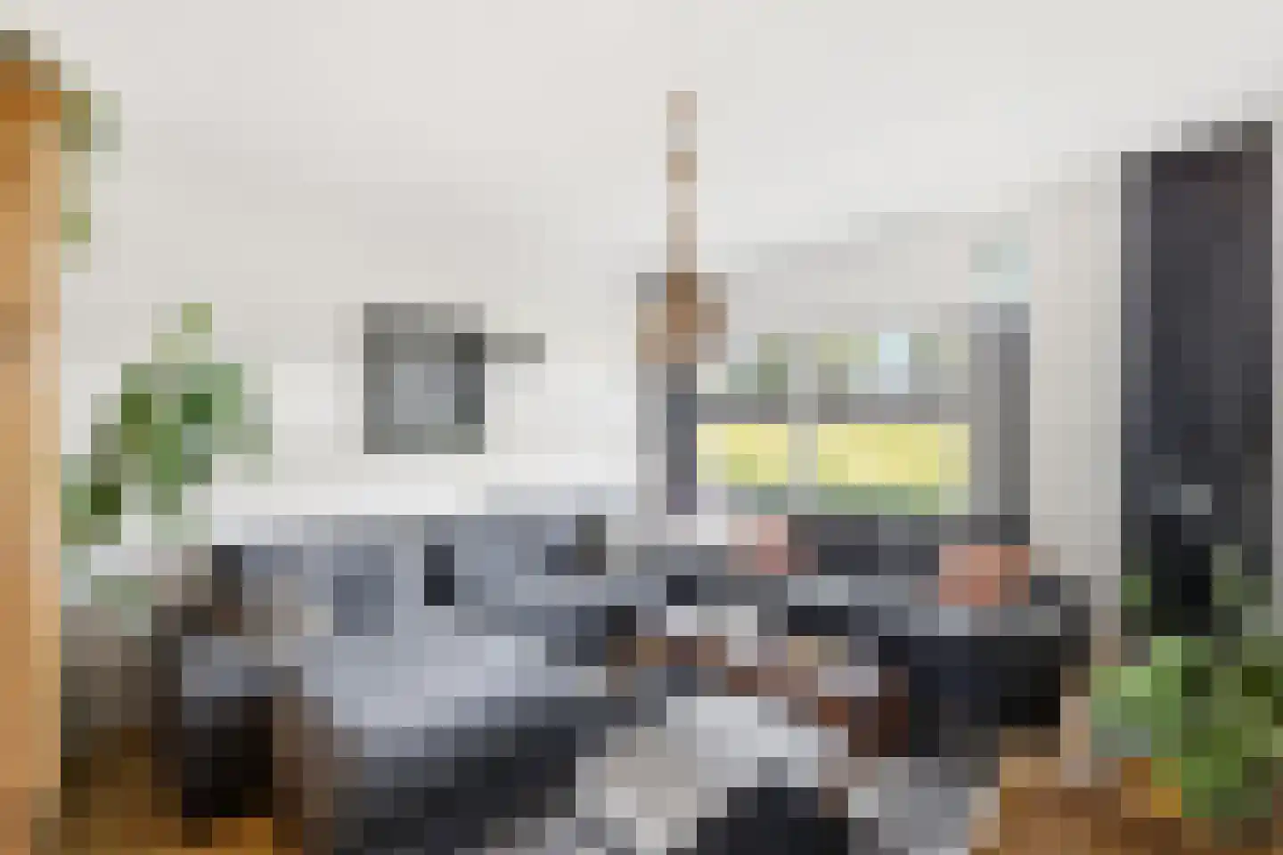 Kanariesprenk 431 Vlissingen thumbnail 12