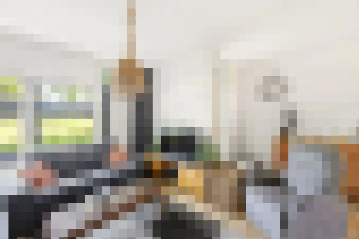 Kanariesprenk 431 Vlissingen thumbnail 13