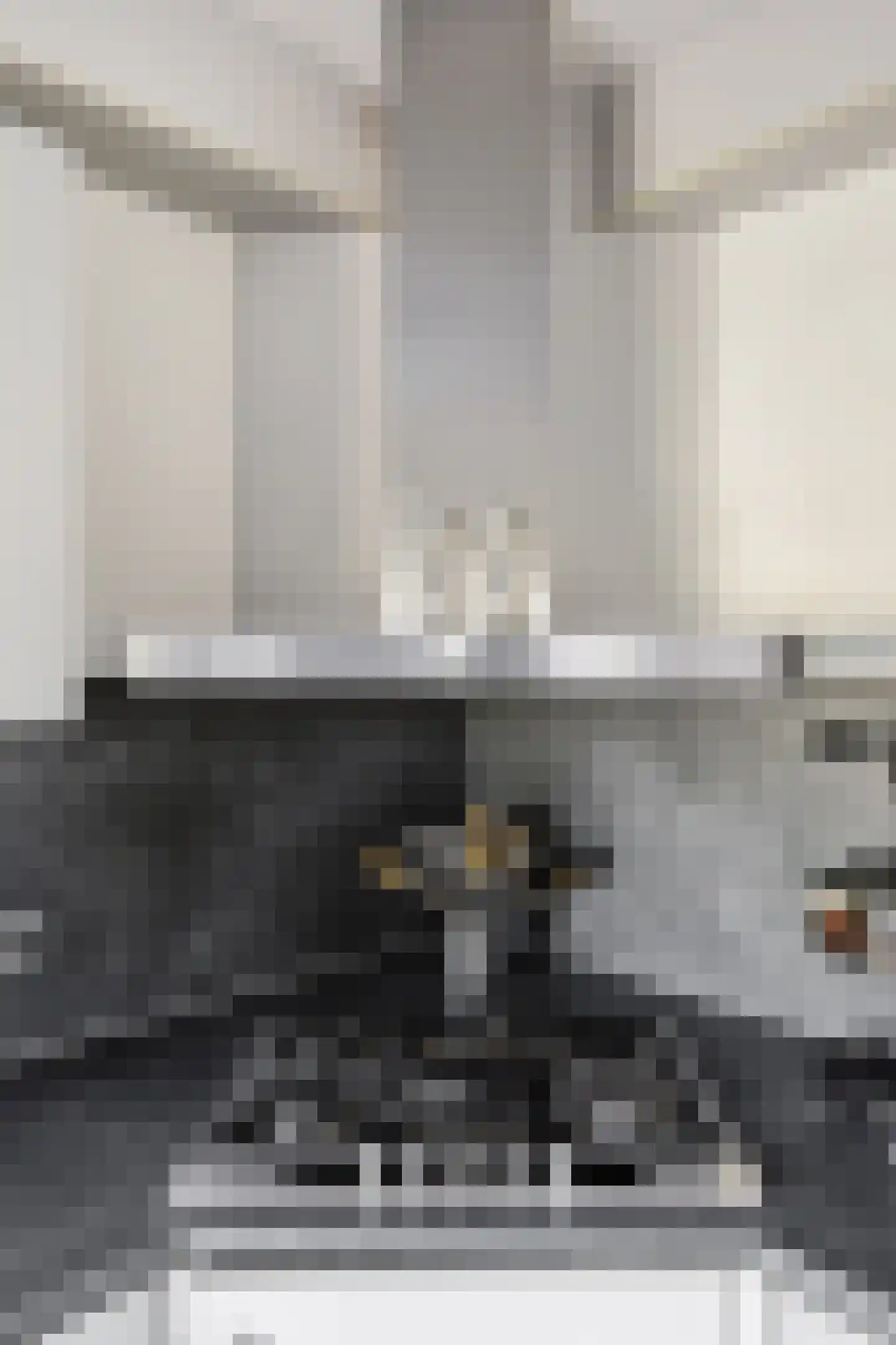 Kanariesprenk 431 Vlissingen thumbnail 16
